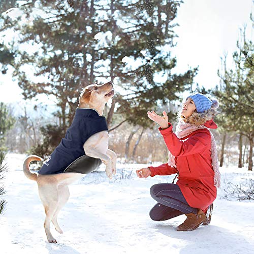 IREENUO Abrigo para Perro Impermeable, Chubasqueros Perro Mediano Grande cálida Chaqueta Perro de Invierno con Tiras Reflectantes Seguras & Busto Ajustable(Azul, XL)