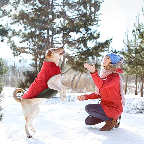 IREENUO Abrigo para Perro Impermeable, Chubasqueros Perro Mediano Grande cálida Chaqueta Perro de Invierno con Tiras Reflectantes Seguras & Busto Ajustable(Rojo, XL)