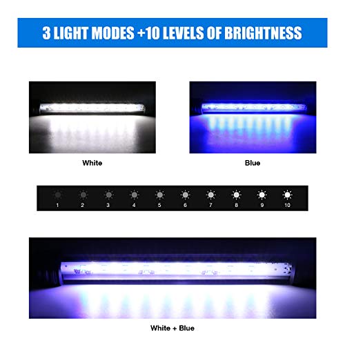 IREENUO Luz de acuario, luz sumergible para tanque de peces con temporizador de encendido y apagado automático, iluminación LED subacuática que cambia de color azul y blanco para tanques de 30-50 cm