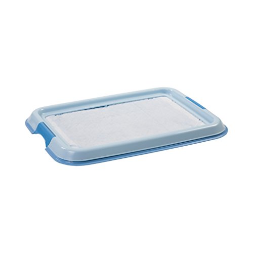 Iris Ohyama, Entrenamiento del Perro/Bandeja de la educación a la Limpieza - Pet Tray - FT-495, plástico, Azul, 49 x 36,5 x 3,2 cm