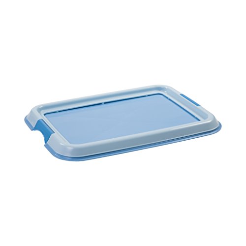 Iris Ohyama, Entrenamiento del Perro/Bandeja de la educación a la Limpieza - Pet Tray - FT-495, plástico, Azul, 49 x 36,5 x 3,2 cm