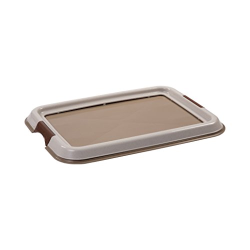 Iris Ohyama, Entrenamiento del Perro/Bandeja de la educación a la Limpieza - Pet Tray - FT-495, plástico, Beige, 49 x 36,5 x 3,2 cm