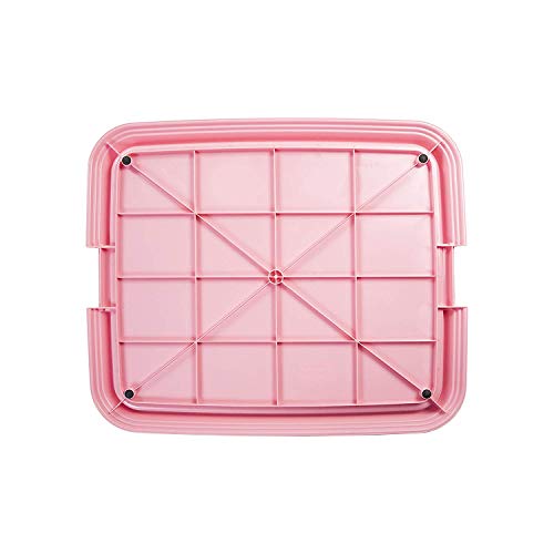 Iris Ohyama, Entrenamiento del Perro/Bandeja de la educación a la Limpieza - Pet Tray - FT-650, plástico, Rosa, 65 x 55 x 5 cm