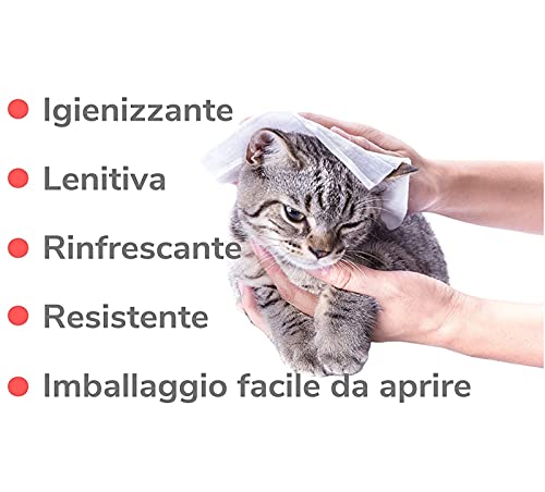 Italian Pet Toallitas de Clorhexidina para la higiene de Perros y Gatos. Toallitas Desinfectantes para limpiar las patas y el pelo de tu mascota. Hipoalergénicas y Resistentes. Grandes (40 Unidades)