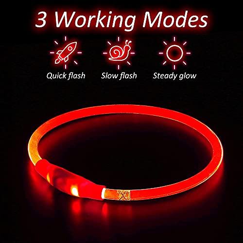 iTayga Collar Luminoso LED Perro Recarable Collares Luminosos para Perros 5 Colores Haga Que su Perro Sea Muy Visible en la Oscuridad, Collar con Luz Perro Pequeño,Mediano,Grande. Rojo