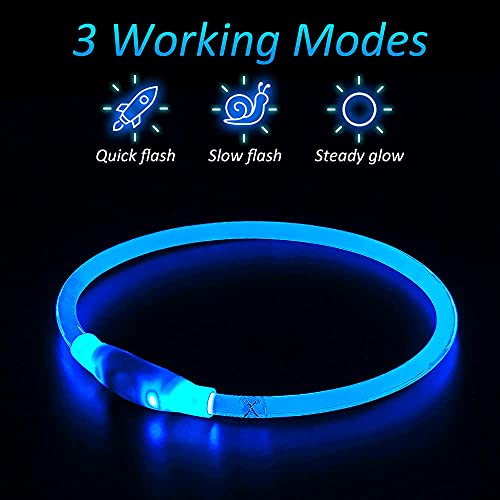 iTayga Collar Luminoso LED Perro Recarable Collares Luminosos para Perros 5 Colores Haga Que su Perro Sea Muy Visible en la Oscuridad, Collar con Luz Perro Pequeño,Mediano,Grande. Azul