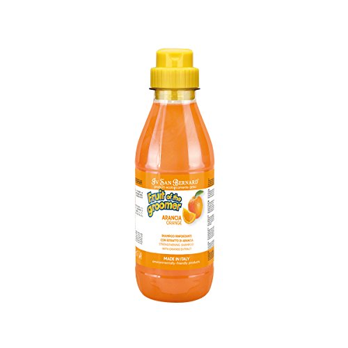 Iv San Bernard 020509 Fruits Champú Arancia 500 ml