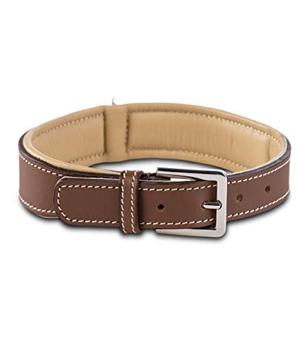 Jack & Russell Premium Perro Cuero Collar Amy - Collar de Cuero Genuino con Grabado Original de J & R Sello en Relieve - Robusto y Elegante (L - Circunferencia del Cuello 42,5-51,0 cm, Marrón/Beige)