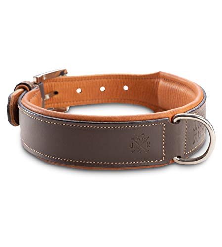 Jack & Russell Premium Perro Cuero Collar Amy - Collar de Cuero Genuino con Grabado Original de J & R Sello en Relieve - Robusto y Elegante (S - Circunferencia del Cuello 31,5-37,0 cm)