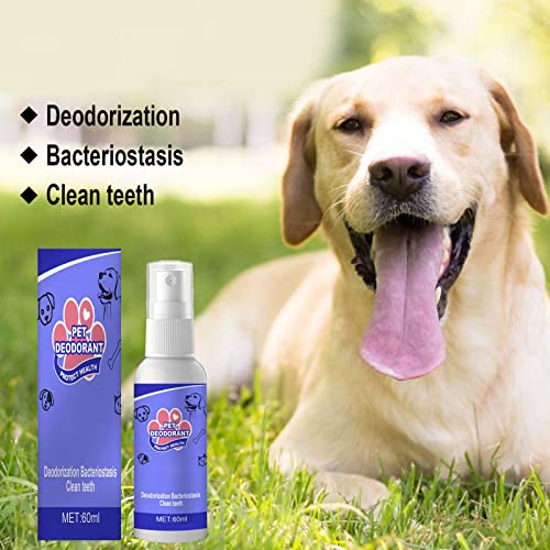 Jayehoze Ambientador en Aerosol para Perros - Enjuague bucal para Perros Aliento Fresco con Ingredientes Naturales | Tratamiento de Limpieza Dental con Sabor a Menta | Elimina el Mal Aliento