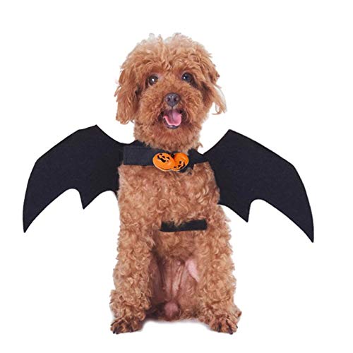 JIASHA Halloween Disfraz De ala De Murciélago Disfraz De Gato con Campana De Calabaza, Traje De Cosplay De Perro Mascota ala De Murciélago para Carnaval, Halloween Y Cumpleaños