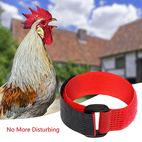 JINGLING Collar De Gallo, Collar De Pollo Anti-Gancho Banda para El Cuello Sin Ruido Cinturón para El Cuello Sin Ruido De Cuervo para Gallos, Collar De Gallo Ajustable para Prevenir Pollos