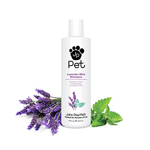 John Paul Pet Lavender Mint Champú 473,2 ml