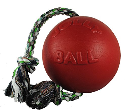 Jolly Mascotas Ball Romp-N-Roll Perro de Peluche, 10 cm, Color Rojo