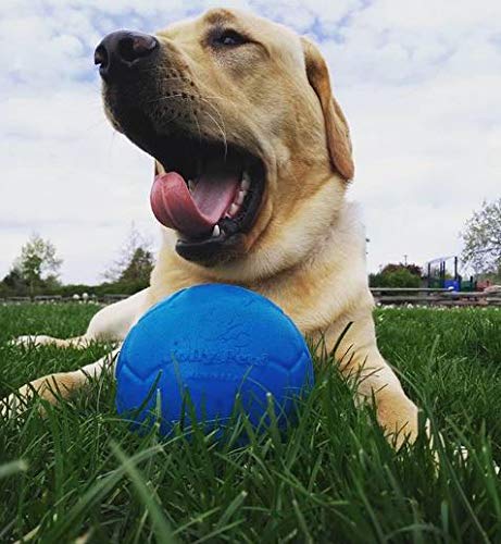 Jolly Pets Jolly - Pelota de fútbol