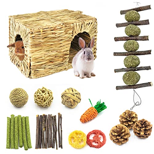 Joody Casa de Herbe para pequeño animal Cachete, alfombra de juguete masticable natural, pelota de ratán, cuerda y bastones de manzana, pino para conejo, cerdo de India