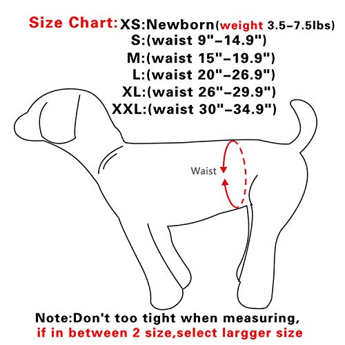 JoyDaog - Pañales para perro pequeño, cachorros, hembras, reutilizable, de primera calidad
