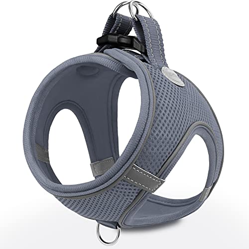 Joytale Arnes Perro, Reflectante Cómodo Transpirable Arnés, Perros Arneses Chaleco para Gato y Cachorros Perro, Gris, L