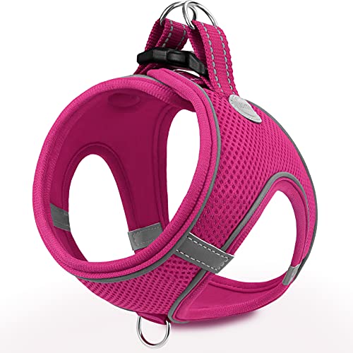 Joytale Arnes Perro, Reflectante Cómodo Transpirable Arnés, Perros Arneses Chaleco para Gato y Cachorros Perro, Rosa Caliente, M