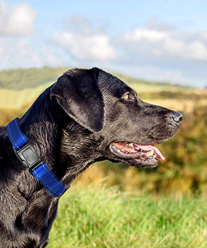 Joytale Collar Perro Reflectante,Nylon Collar Acolchado con Neopreno,Ajustable para Perros Grande,40-60cm,Azul Marino