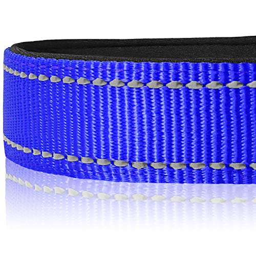 Joytale Collar Perro Reflectante,Nylon Collar Acolchado con Neopreno,Ajustable para Perros Grande,40-60cm,Azul Marino