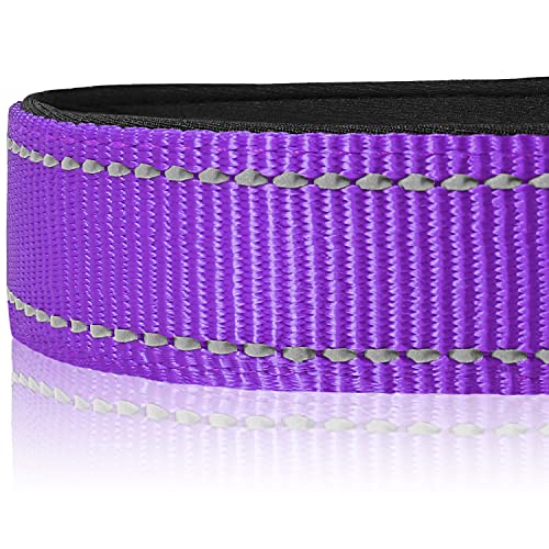 Joytale Collar Perro Reflectante,Nylon Collar Acolchado con Neopreno,Ajustable para Perros Mediano,35-50cm,Morado