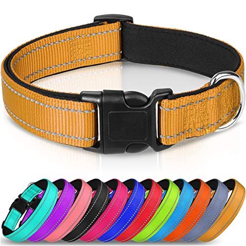 Joytale Collar Perro Reflectante,Nylon Collar Acolchado con Neopreno,Ajustable para Perros Pequeño,30-40cm,Marrón