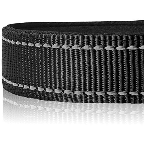 Joytale Collar Perro Reflectante,Nylon Collar Acolchado con Neopreno,Ajustable para Perros Pequeño,30-40cm,Negro