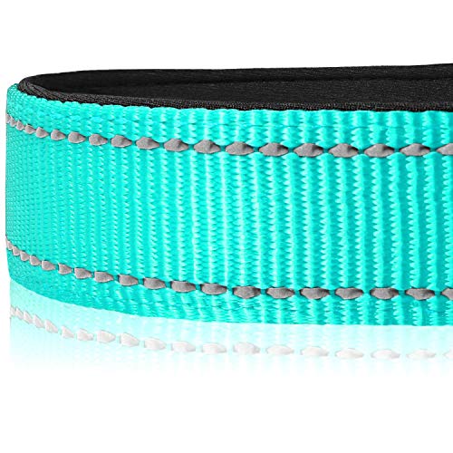 Joytale Collar Perro Reflectante,Nylon Collar Acolchado con Neopreno,Ajustable para Perros Pequeño,30-40cm,Verde Azulado