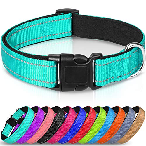 Joytale Collar Perro Reflectante,Nylon Collar Acolchado con Neopreno,Ajustable para Perros Pequeño,30-40cm,Verde Azulado