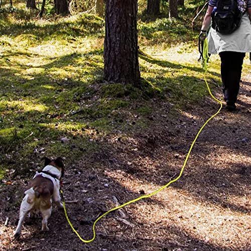 Joytale Correa de Adiestramiento para Perros, 15M Correas Largas con Asa Acolchada y Dos Mosquetones para Perros Pequeños y Cachorros, Amarillo Neon