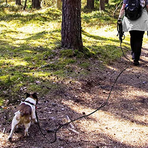 Joytale Correa de Adiestramiento para Perros, 5M Correas Largas con Asa Acolchada y Dos Mosquetones para Perros Pequeños y Cachorros, Negro