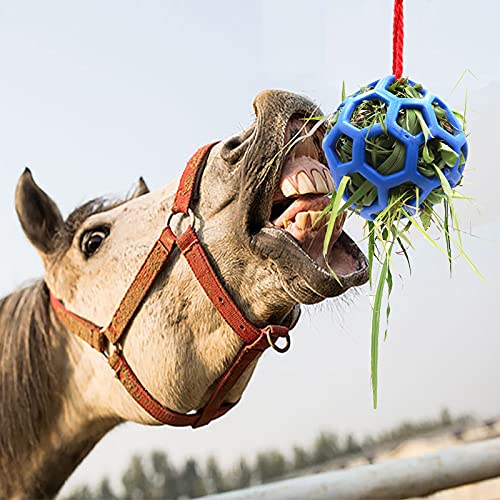 Juego de 2 bolas de golosinas para heno, juguete de alimentación colgante para caballo estable y descanso, ovejas de cabra, alivia el estrés