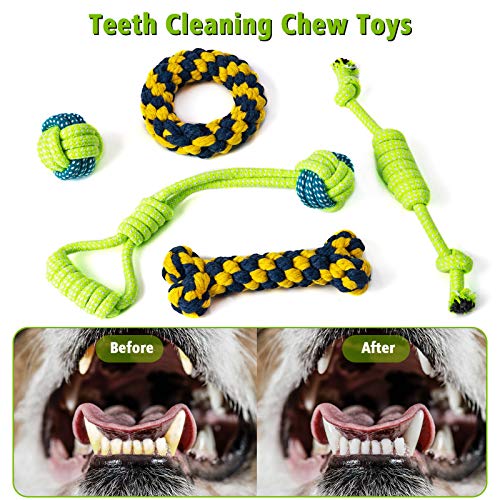 Juguete de Cuerda para Perro 10 Piezas de Juguetes de algodón Natural para Masticar Cachorros para la dentición interactuar Juguete para Masticar Perros pequeños y medianos Juguetes para chirriar…