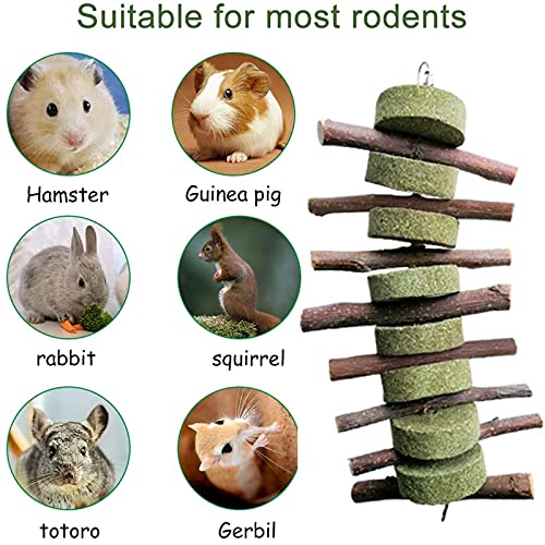 Juguete para Moler Dientes para Conejo Juguetes para Masticar Hámster Natural Bola de Hierba Bola para Conejos para Conejos Chinchillas Conejillos Indias Hamsters Mejoran La Salud Dental 2 Piezas