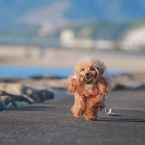 Juguete para Perro Chirriante,Forreen 4 Piezas Juguete para Morder para Perro Forma de Dona Durable Látex Juguetes interactivos para Perros para Perros Pequeños y Medianos