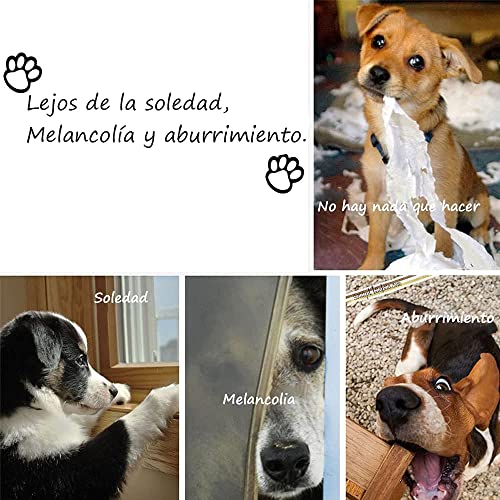 Juguetes para Cachorros Perros Cuerda para Masticar Interactivos, Durable Juguetes para Perros Entrenamiento de Dentición,7 Piezas