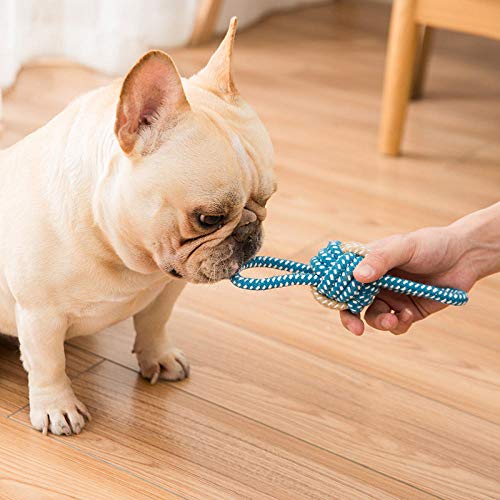 Juguetes para Masticar Mascotas para Cachorro Formación para la Dentición, Juguete Duraderos para Perros Pequeños Mediano, Juguete para Jugar y Entrenar -Tricolor mancuerna Azul Verde