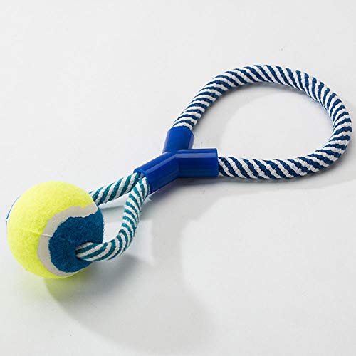 Juguetes para Masticar Mascotas para Cachorro Formación para la Dentición, Juguete Duraderos para Perros Pequeños Mediano, Juguete para Jugar y Entrenar -Tricolor mancuerna Azul Verde