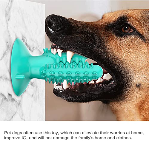 Juguetes para masticar perros, juguetes de goma duraderos para perros para masticadores agresivos, juguetes resistentes de cactus para entrenar y limpiar los dientes, juguetes interactivos para perros