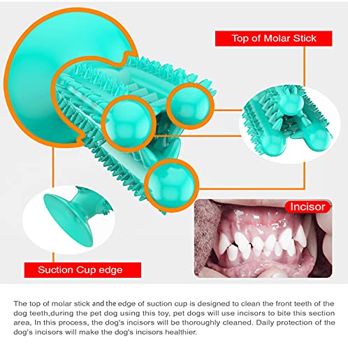 Juguetes para masticar perros, juguetes de goma duraderos para perros para masticadores agresivos, juguetes resistentes de cactus para entrenar y limpiar los dientes, juguetes interactivos para perros