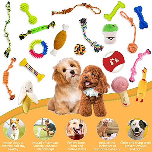 Juguetes para Perros,MAISITOO 19 Pcs Juguete para Morder para Perro,Durable Masticable Cuerda,Cuerda Juguete Interactivo de algodón con Nudo para Masticar para Mantener a Perro Sano