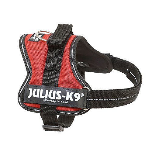 Julius-K9 162BOR-MM - Arnés para Perros, Rojo (Burdeos/Marrón), XS/Mini-Mini, 1 unidad