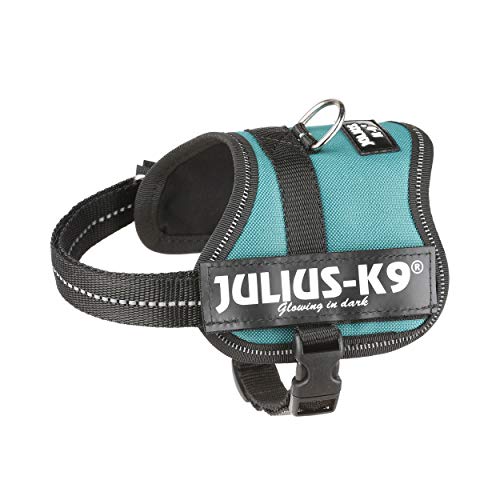 Julius-K9 162DG-BB2 - Arnés para Perros, Verde (Verde Oscuro), 2XS/Baby 2, 1 unidad