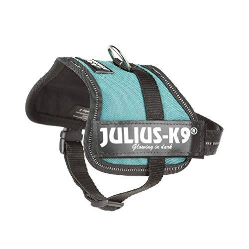 Julius-K9 162DG-BB2 - Arnés para Perros, Verde (Verde Oscuro), 2XS/Baby 2, 1 unidad