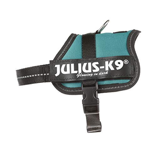 Julius-K9 162DG-BB2 - Arnés para Perros, Verde (Verde Oscuro), 2XS/Baby 2, 1 unidad