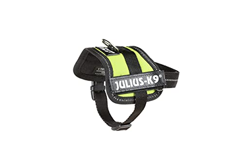 Julius-K9 162KW-BB1 - Arnés para Perros, Verde (Verde Kiwi), 3XS, 1 unidad