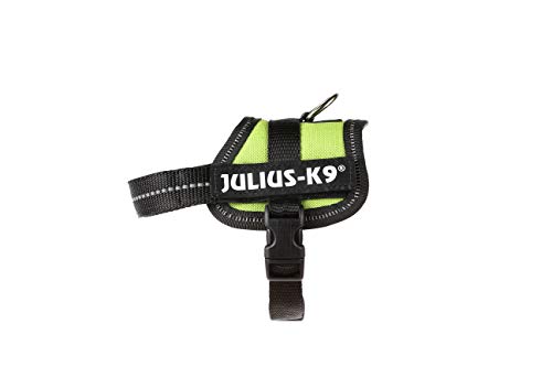 Julius-K9 162KW-BB1 - Arnés para Perros, Verde (Verde Kiwi), 3XS, 1 unidad