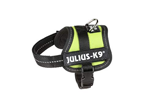 Julius-K9 162KW-BB1 - Arnés para Perros, Verde (Verde Kiwi), 3XS, 1 unidad