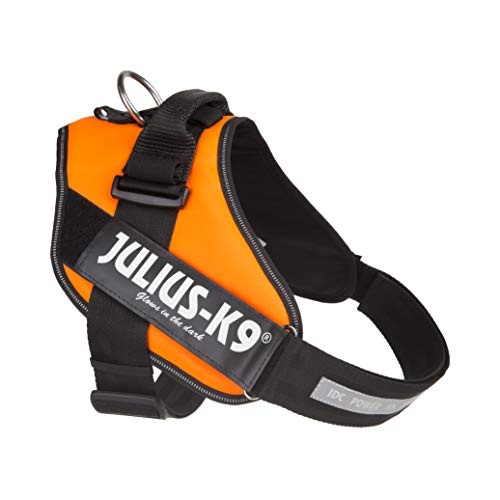 JULIUS-K9 16IDC Power Harness